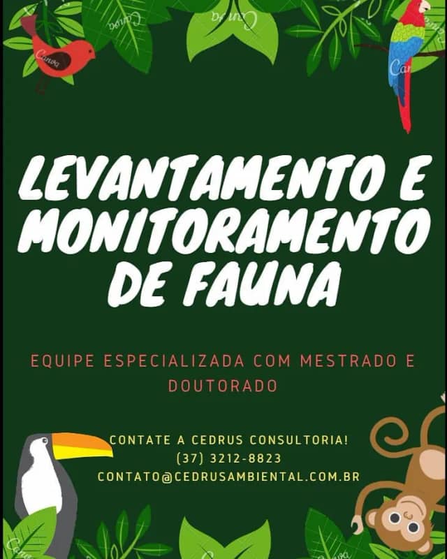 Foto 4 de Cedrus Consultoria Ambiental, Meio Ambiente em Divinópolis - MG