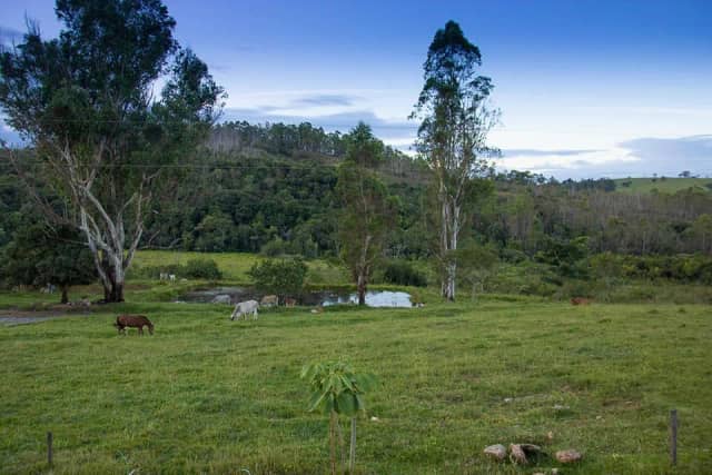 Foto 3 de Sítio Malícia, Sítios em Divinópolis - MG